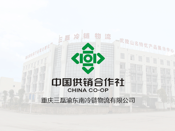 李凯董事长与上海奇快信息科技有限公司商谈合作