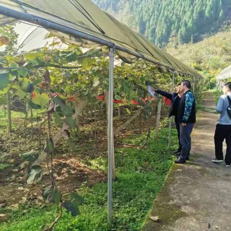 重庆三磊冷链物流